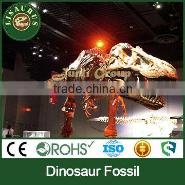 Lisaurus-I Dinosaur Fossil Sale Dinosaur Skull Head Life Size Dinosaur Skeleton Dinosaur Skeleton Puzzles photo-3