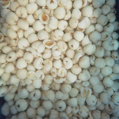 Leading Supplier of IQF Litchi - Premium Quality IQF Frozen Lychee Peeled Pitted