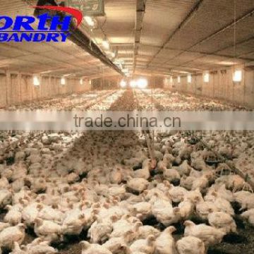 poultry equipment farming dry wet feeder