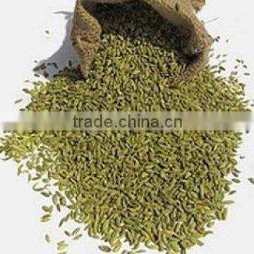 cumin seeds (Good Quality)