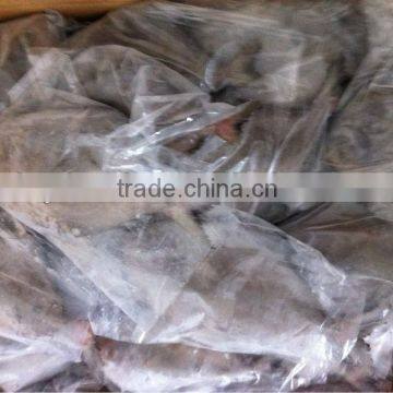 Frozen black pomfret whole around