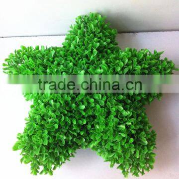 High Emultion Green Decorative Artificial Star Shaped Potted Bosai photo-2