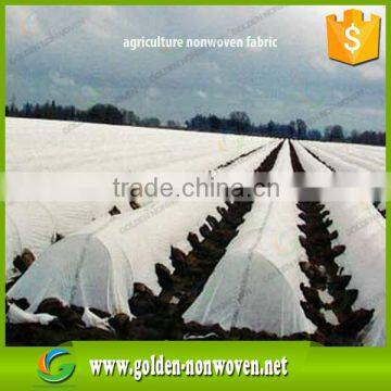 Ali Golden Trade Agriculture Nonwoven Waterproof Ground Cover photo-3
