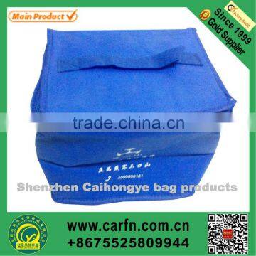 Custom factory non-woven cooler bag,popular non-woven cooler bag