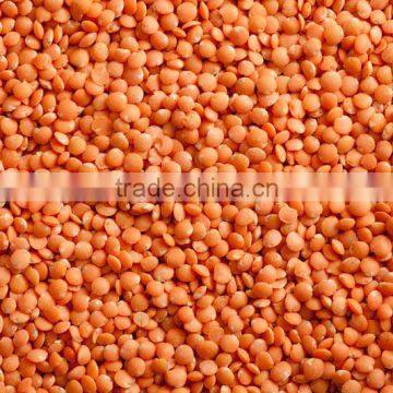 Whole Red Lentils