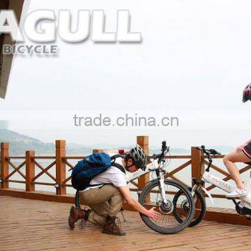 Seagull GL -2014 peerless electric bicycle/padel assist, throttle for option