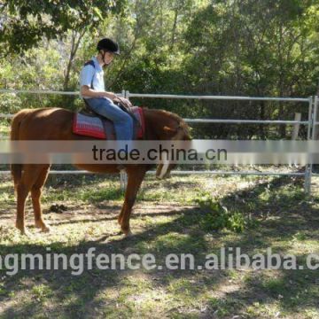 Galvanized pipe horse fence panels for sale