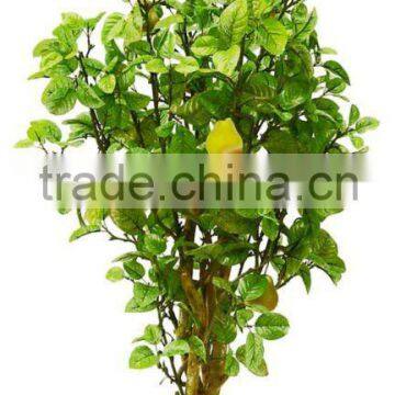 Artificial pear tree-Fake Tree