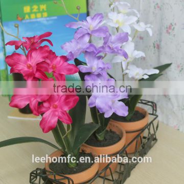 preserved red, purple, white three color artificial orchid for home decoration