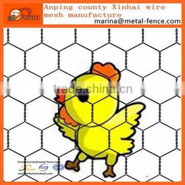 2016 new product China supplier Galvanized Hexagonal Wire Mesh/Hexagonal metal mesh/anping hexagonal mesh