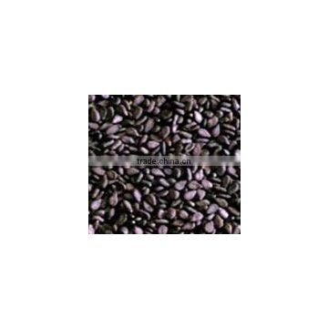 Black Sesame seed