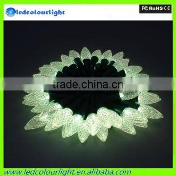 DC12V RGB 0.6W Led Christmas Decorative String Light