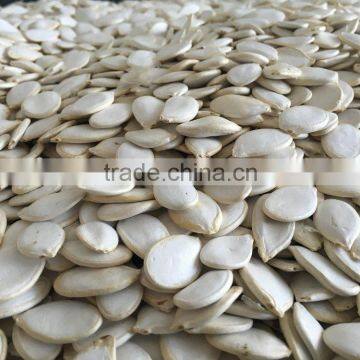 Snow White Pumpkin Seeds