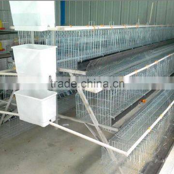 Hot sale Layer Chicken Cages For Farm From Factory