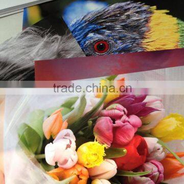 Roll Photo Paper,61CMX30.5M,61CMX25M,111.8cmX30.5M