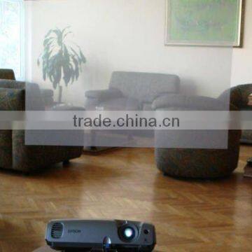 Holographic Projector Screen