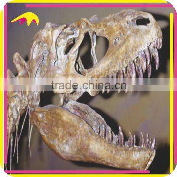 KANO5983 Original Size Replica Artificial Exhibition Dinosaur Skeleton