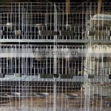 Galvanized Cage Wire Mesh/Pigeon Cage /bird Cage photo-3