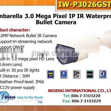 IW-P3026GST CMOS Ambarella 3MP Network Security Camera