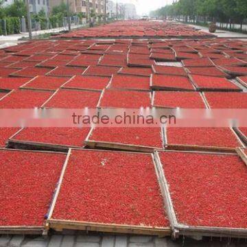 Dried Chinese Red Gojiberry