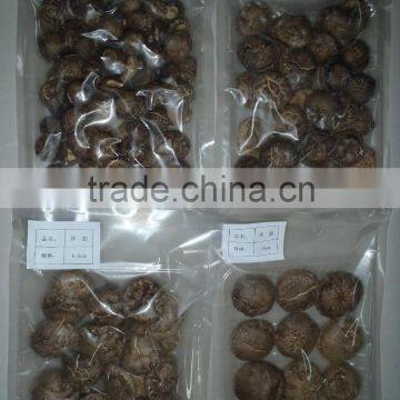 Dried shiitake mushroom