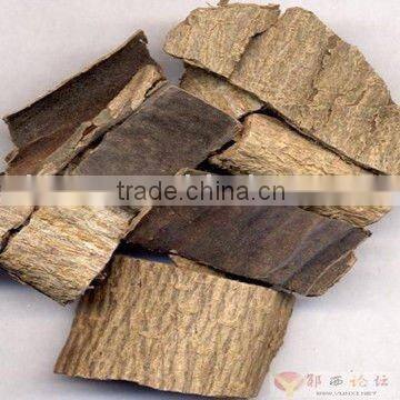 Eucommia Bark P.E