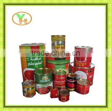 70G-4500G China Hot Sell Canned Tomato Paste,800g Canned Tomato Paste
