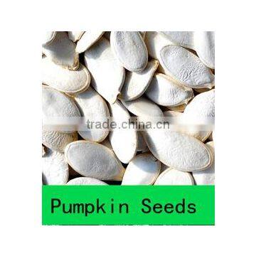White Pumpkin Seeds/Pumpkin Seeds