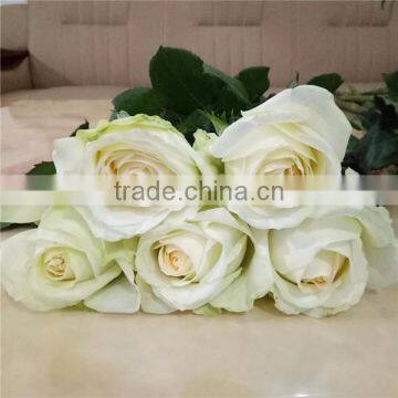 Most Selling Rose Flowers Cheap Cut Flowers Price Directly Import From Website photo-5