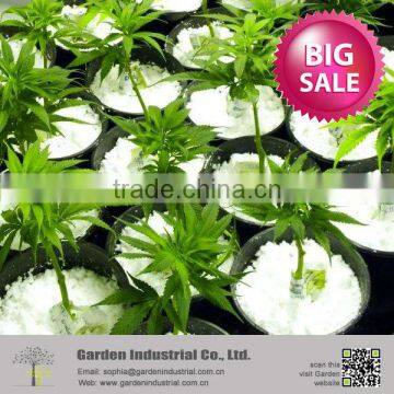 Hydroponics Fertilizers Expanded Perlite