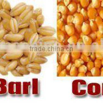 European Standard Animal Feed Pellet Machine, Fish Feed Pellet Machine, Floating Fish Feed Extruder Machine