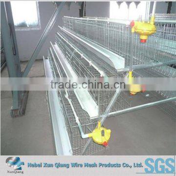 galvanized chicken wire mesh cage for egg laying hens