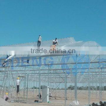 UV Resistant Plastic Film Greenhouse photo-2