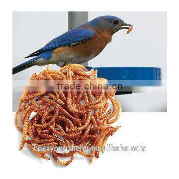 Dried Mealworms,Birds Food & Aquarium Fish Food photo-2
