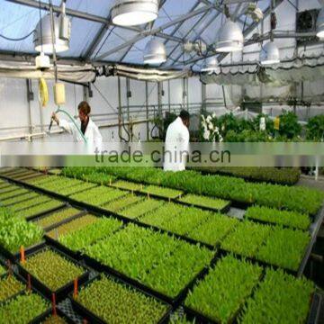 Oasis Floral Foam &Seedling Bed Sponge for Plant photo-3