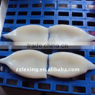 Frozen IQF Squid Tube photo-2