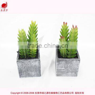 Artificial Mini Succulents Potted Succulent Plant Wholesale Small Succulent Plants photo-5