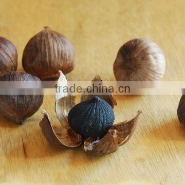 Zhengzhou Product Peeled Solo Black Garlic Packed With Organic Certificate photo-4