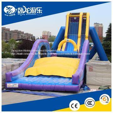 Large Dreamland water and dry slide jumpers Inflatable Pool Water Slide for sale