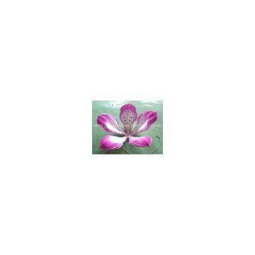 Chinese Handicraft Lantern for Festival Decoration_Flower Lantern photo-3