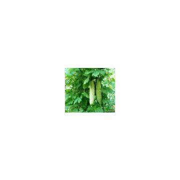 100% High quality Balsam pear extract/balsam pear extract powder/Balsam pear powder