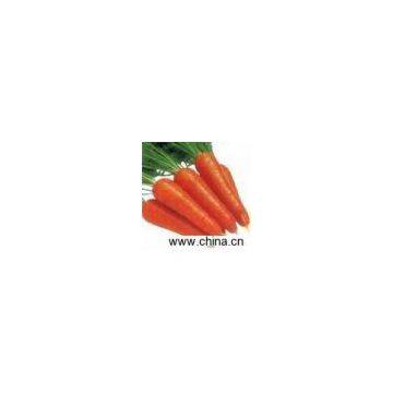 Sell Carrot