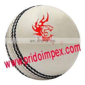 cricket training balls