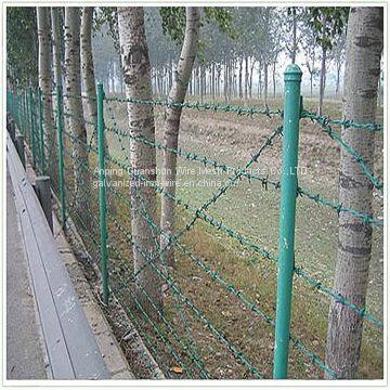 Barbed Wire Fence photo-4