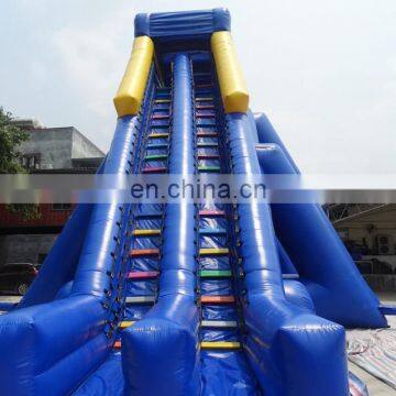 2017 Popular Design Top Quality Giant Inflatable Slide, Giant Inflatable Water Slide for Adult, Inflatable Jumping Slide photo-3