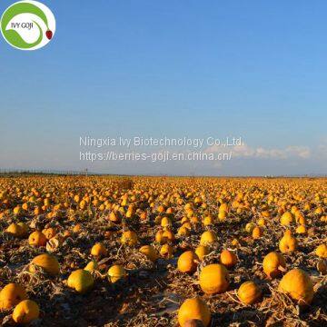 Factory Supply Hot Sale GWS Pumpkin Kernels photo-2
