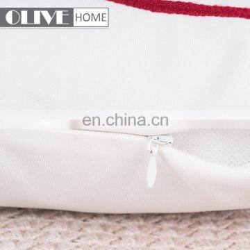 Wholesale Factory Price Luxury Decorative Sofa Printed Embroidered Cushion Cover for Gifts Luxury Sofa Cushion photo-6