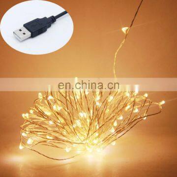 USB Powered Waterproof Copper Wire LED Lights 10 Meter 100 LED photo-5