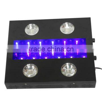 Full Spectrum Hydroponic 300 Watt Cheap Best Led Grow Lights photo-3
