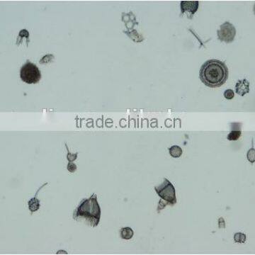 High Quality Zoology Slides ,high Quality Animal Slides photo-3